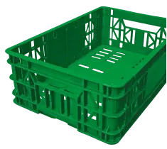 Cajas y charolas – GT+plastics